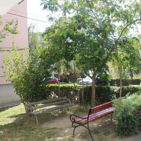 Tîrgu Ocna Apartament Anca 아파트 외부 사진